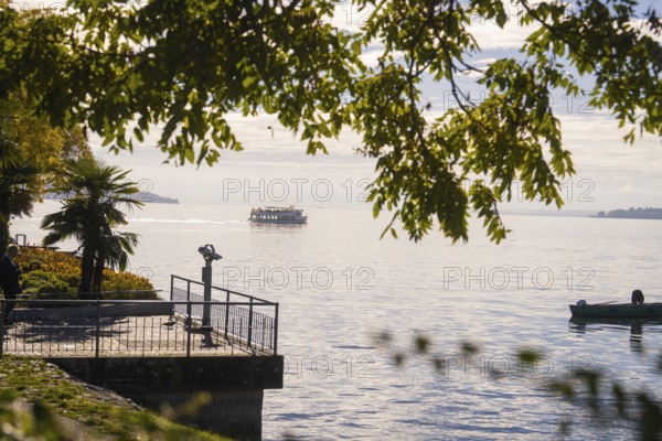 A boat can be seen under tree branches on a calm lake, with palm trees and a tranquil atmosphere, Überlingen, Lake Constance, Germany