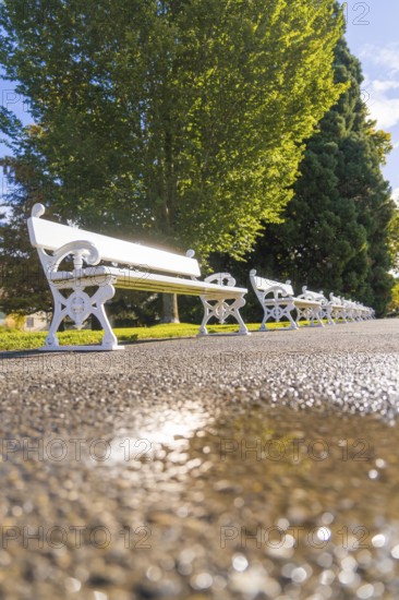 White benches in an avenue, with bright sun in the background, quiet atmosphere, Überlingen, Lake Constance, Germany