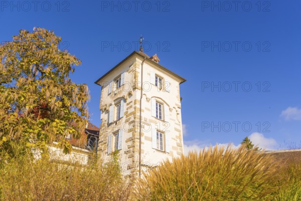 White historic building with tower and colourful autumn leaves in the foreground under a blue sky, Überlingen, Lake Constance, Germany