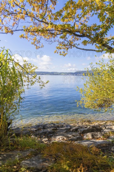 Peaceful scene at a lake, surrounded by autumn trees and a clear blue sky, Überlingen, Lake Constance, Germany