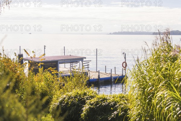 A jetty juts out into a calm lake, surrounded by lush greenery and bathed in warm sunlight, Überlingen, Lake Constance, Germany