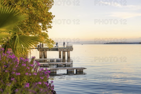 A quiet evening on a jetty by the lake, surrounded by plants and golden light, Überlingen, Lake Constance, Germany