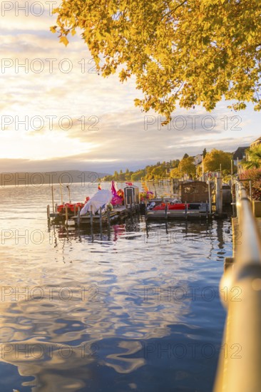 Idyllic harbour at sunset with trees and reflections in the water, Überlingen, Lake Constance, Germany