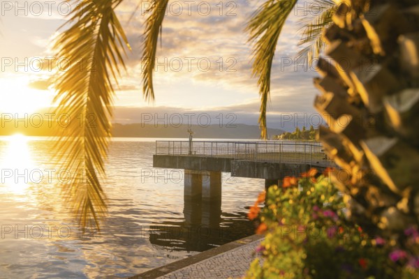 Atmospheric view of a pier under palm trees at sunset, Überlingen, Lake Constance, Germany