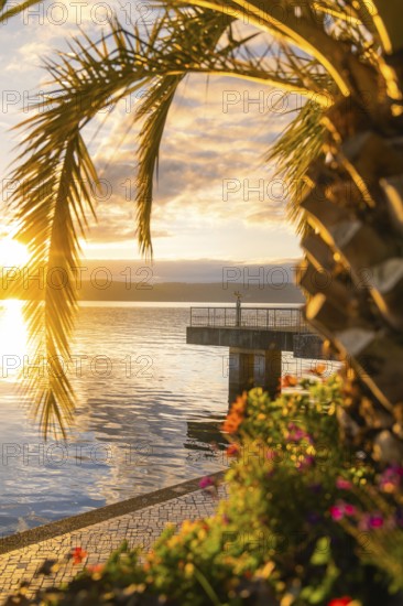 Romantic evening mood at the lake with pier and palm trees in the sunset, Überlingen, Lake Constance, Germany