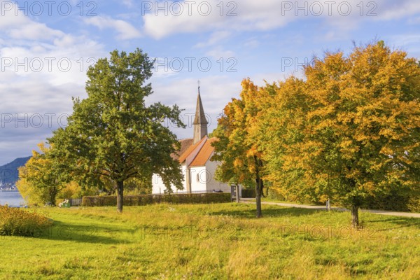 Autumn landscape with church and colourful trees under a blue sky, Überlingen, Lake Constance, Germany