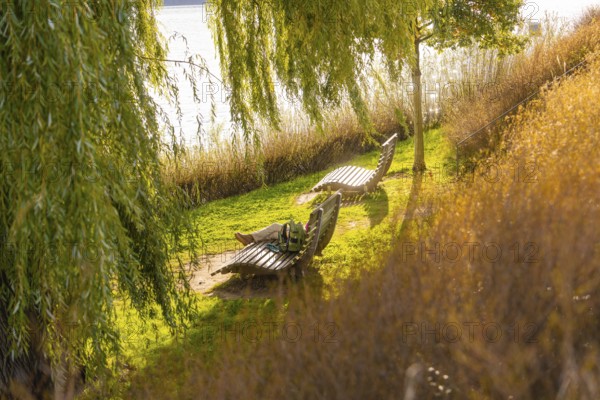 Quiet scene with deckchairs on a sunny riverbank under trees, Überlingen, Lake Constance, Germany
