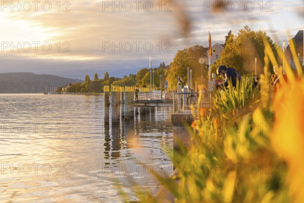 Shoreline with glowing evening sky and calm water, Überlingen, Lake Constance, Germany