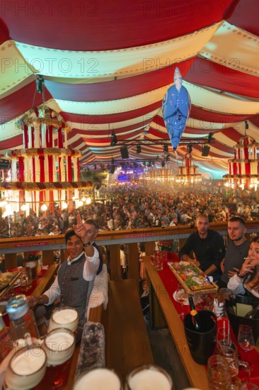People celebrating at a long table in a colourful striped marquee, Cannstatter Wasen folk festival, Stuttgart, Germany