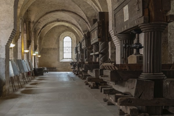 Lay refectory with historic wine presses, dining room of the lay brothers, Eberbach Monastery, Cistercian Order, Eltville, Rheingau, Taunus, Hesse, Germany