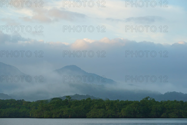 Atlantic Rainforest Coast, Brazil