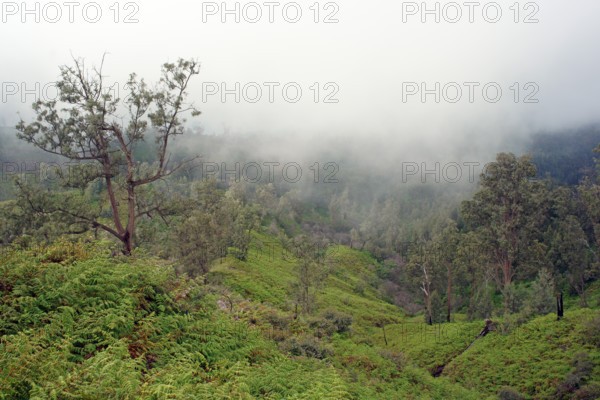 Landscape volcano Ijen, Indonesia