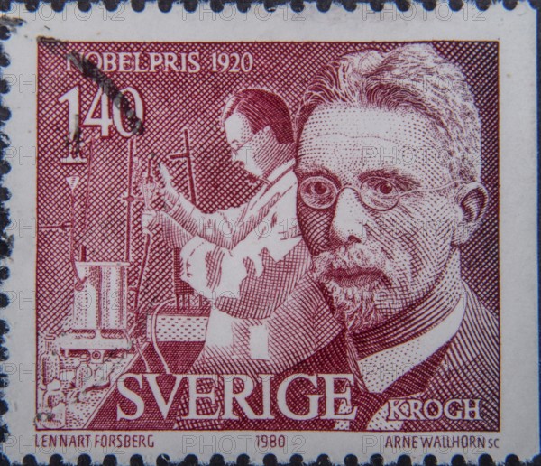 August Steenberg Krogh (1874-1949) was a Danish zoophysiologist. He received the Nobel Prize in Physiology or Medicine in 1920. Portrait on a Swedish stamp