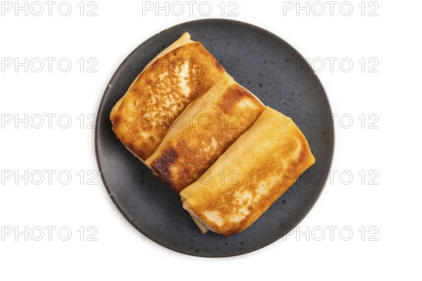 Fried crispy pancakes with meat and cheese isolated on white background. side view, copy space