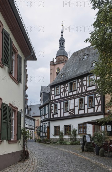 Narrow alley in the old town centre of Eltville, Rheingau, Hesse, Germany