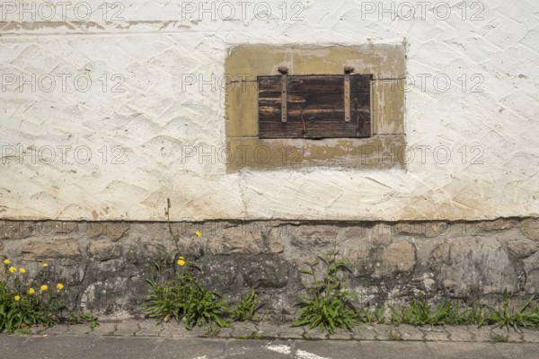 Cellar window with wooden shutter, Göcklingen, Southern Palatinate, Palatinate, Rhineland-Palatinate, Germany