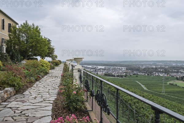 View from Johannisberg Castle, Geisenheim, Rheingau, Hesse, Germany