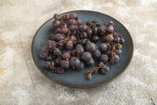 Bunches of rotten and Dry Red wine grapes on blue plate on brown concrete background, harvest, decay. Side view, close up