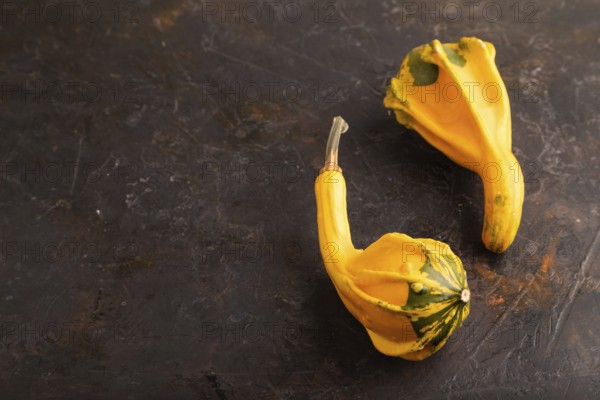 Two decorative orange Pumpkins on black concrete background, side view, copy space, minimalism