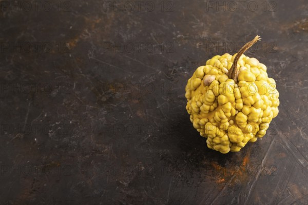 Decorative orange Pumpkin with tumors on black concrete background, side view, copy space, minimalism