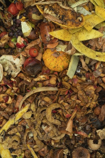 Compost pile made of organic food, leaves, vegetable and fruit Waste mix, Zero waste and Eco friendly Recycling concept