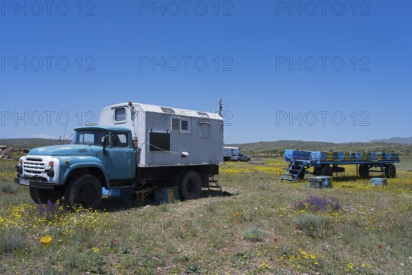 An old lorry with a camper van on a flowering meadow under a blue sky, beekeeper, near Karakert, Armavir province, Armenia