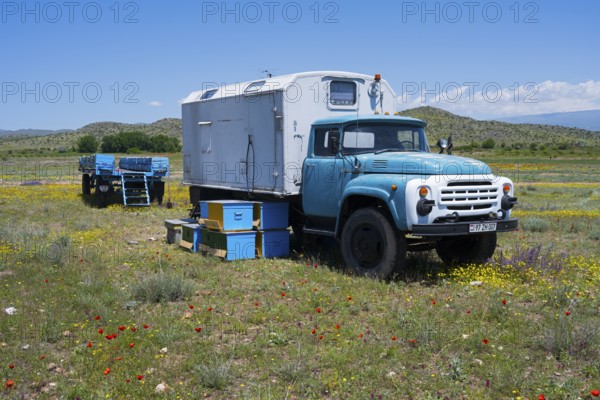 A blue truck stands next to colourful beehives in a vast, blooming landscape, beekeeper, near Karakert, Armavir province, Armenia