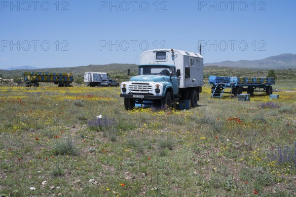 An old truck stands in a colourful flower meadow under a blue sky with trailers in the background, beekeeper, near Karakert, Armavir province, Armenia