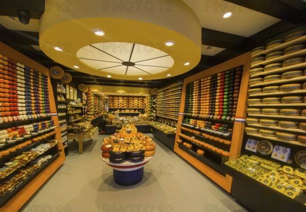 A shop with a variety of cheeses arranged on shelves and tables, illuminated in warm light, Delft, province of South Holland, Zuid-Holland, Netherlands