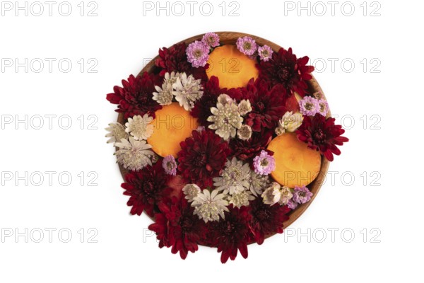Wooden bowl with carrot slices and red Chrysanthemum flowers, Astrantia flowers, flower salad isolated on white background, top view, flat lay, minimalism, close up