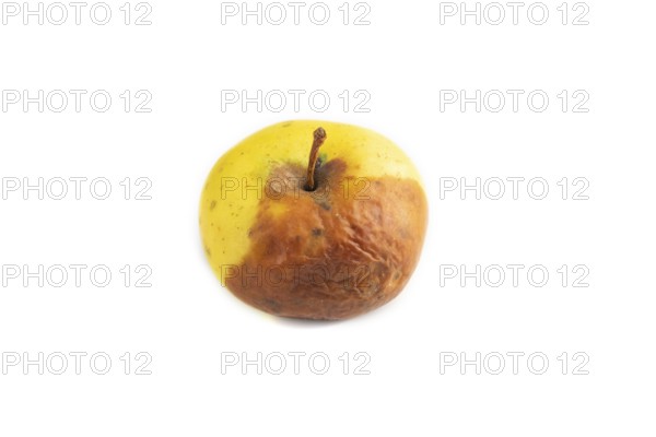Decaying, Rotting apples isolated on white background. Side view, copy space, minimalism