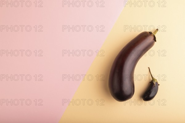 Two Eggplants big and small on pink and orange pastel paper background, top view, flat lay, copy space, minimalism