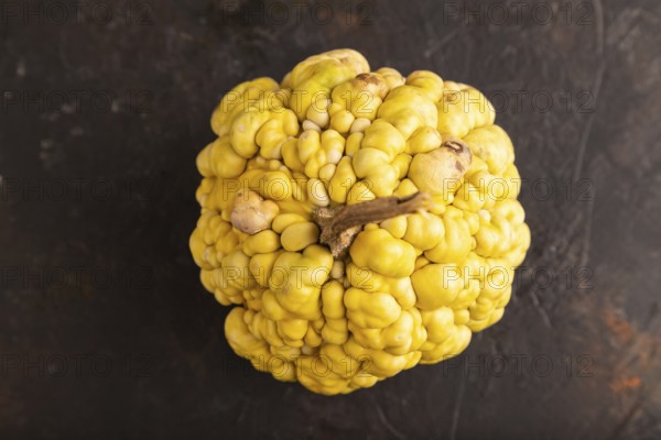 Decorative orange Pumpkin with tumors on black concrete background, top view, flat lay, close up, minimalism