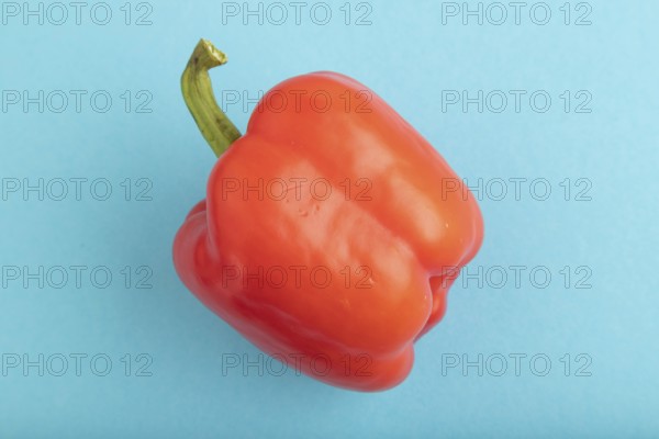 Red pepper on blue pastel background. Top view, flat lay, copy space. healthy food, vegetable, minimalism