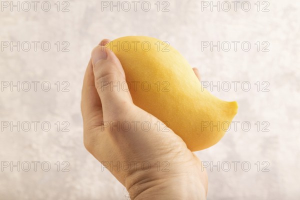 Orange mango with hand on concrete background. Side view, copy space. healthy food, minimalism