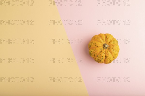 Orange Pumpkin on orange and pink pastel paper background. Top view, copy space, flat lay. healthy food, vegetable, minimalism