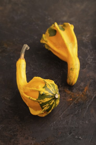 Two decorative orange Pumpkins on black concrete background, side view, close up, minimalism