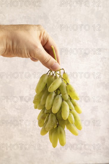 Green grapes on gray concrete background. Side view, copy space. healthy food, minimalism