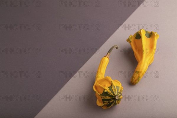 Two decorative orange Pumpkins on beige and gray pastel paper background, side view, copy space, minimalism
