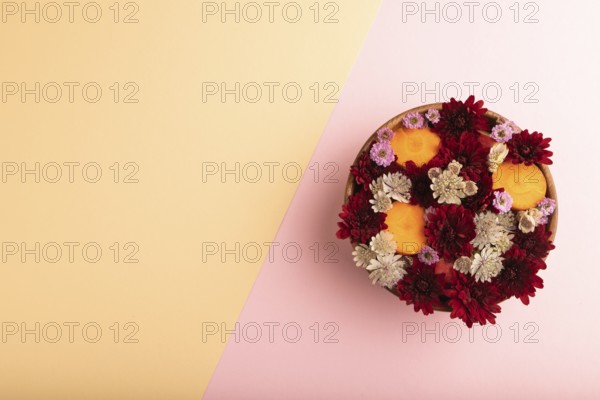 Wooden bowl with carrot slices and red Chrysanthemum flowers, Astrantia flowers, flower salad on pink and orange pastel paper background, top view, flat lay, copy space, minimalism
