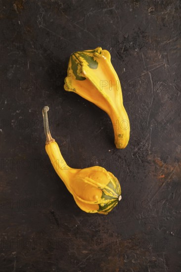 Two decorative orange Pumpkins on black concrete background, top view, flat lay, copy space, minimalism