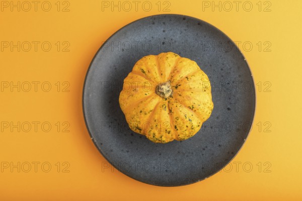 Orange Pumpkin on blue plate on orange pastel paper background. Top view, copy space, flat lay. healthy food, vegetable, minimalism, contrast