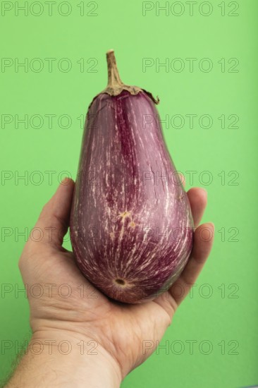 Hand holding Purple eggplant with white stripes on green pastel background. Top view, flat lay, copy space. Tropical, healthy food, vegetable, minimalism