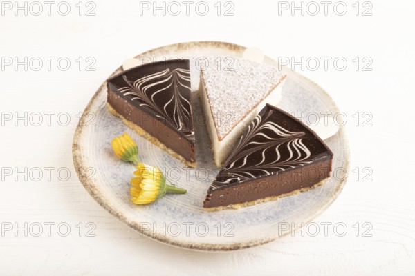 Chocolate and Vanilla Cake pops Marshmallow on white wooden background. side view, close up