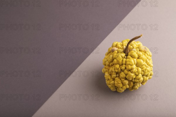 Decorative orange Pumpkin with tumors on beige and gray pastel paper background, side view, copy space, minimalism
