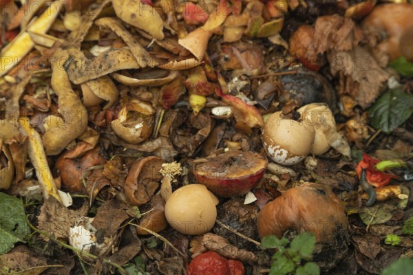 Compost pile made of organic food, leaves, vegetable and fruit Waste mix, Zero waste and Eco friendly Recycling concept