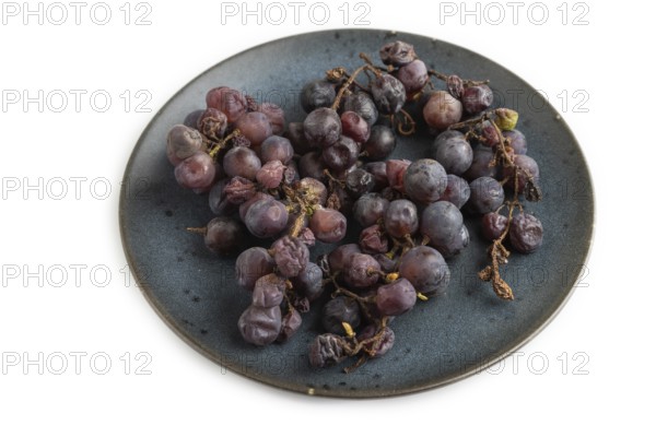 Bunches of rotten and Dry Red wine grapes on blue plate isolated on white background, harvest, decay. Side view, close up