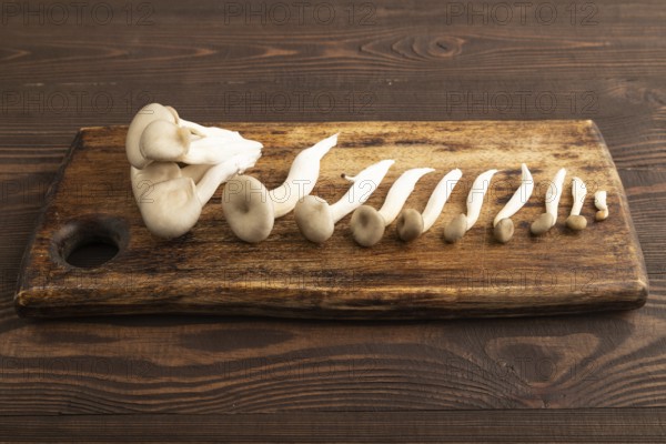 Raw Oyster mushroom, Pleurotus ostreatus on cutting board on brown wooden background. Side view, copy space, minimalism
