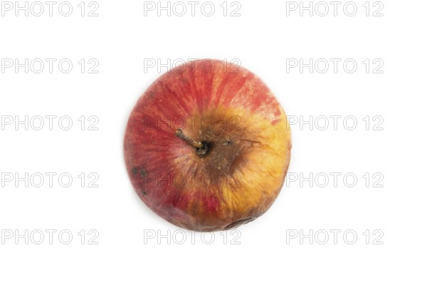 Decaying, Rotting apples isolated on white background. Top view, copy space, flat lay, minimalism