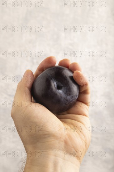 Purple Plum Cut in half with hand on gray concrete background. Side view, close up. healthy food, vegetable, minimalism
